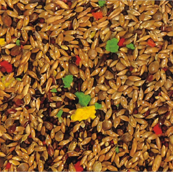 Καναρινοτροφή Χύμα