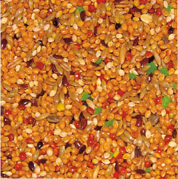 Τροφή για παπαγαλάκι