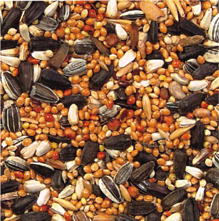 Τροφή για παπαγάλο μεσαίου μεγέθους χύμα