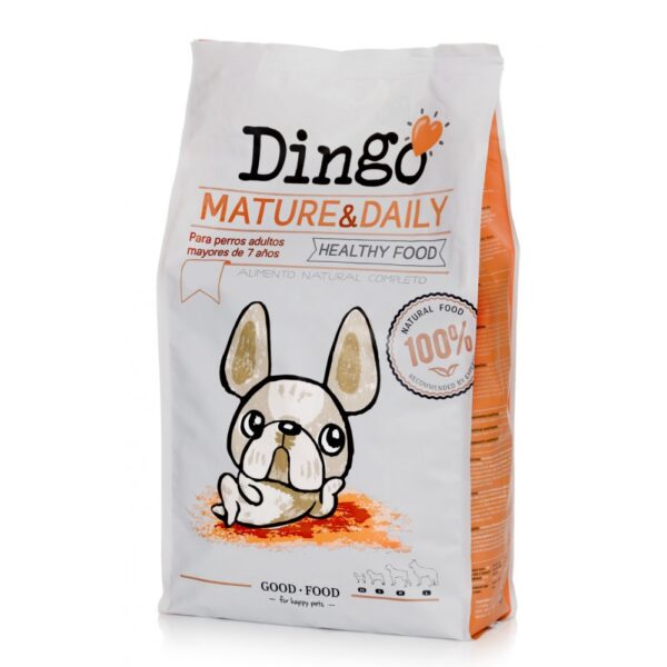 Dingo Mature and Daily