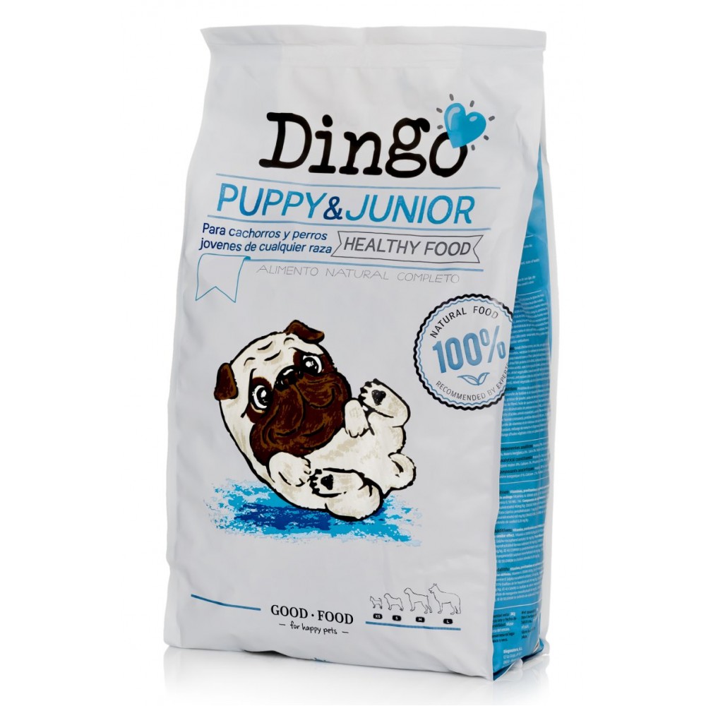 Dingo Puppy Junior-1000x1000h.15KGjpg Dingo Puppy Junior