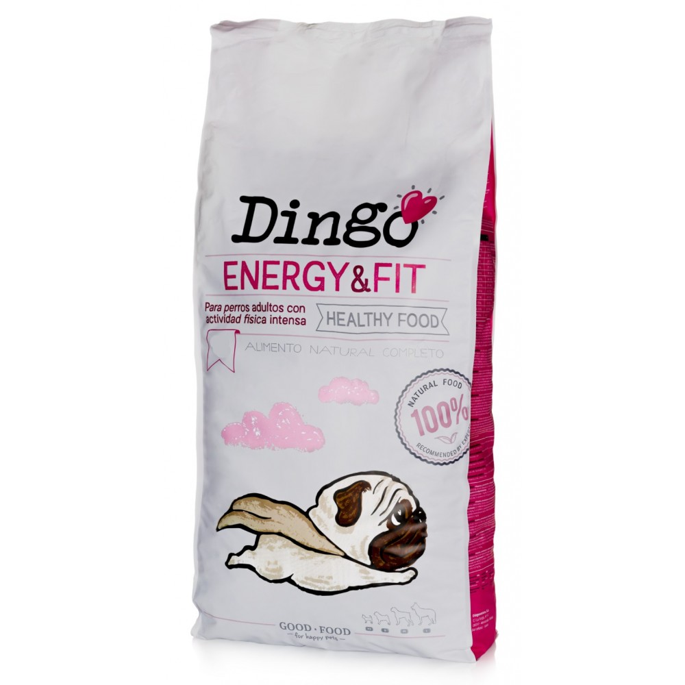Dingo Energy And Fit