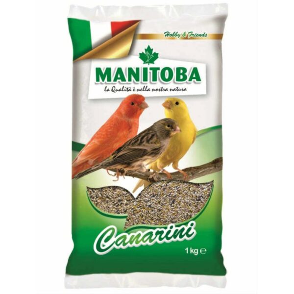 Manitoba Canary