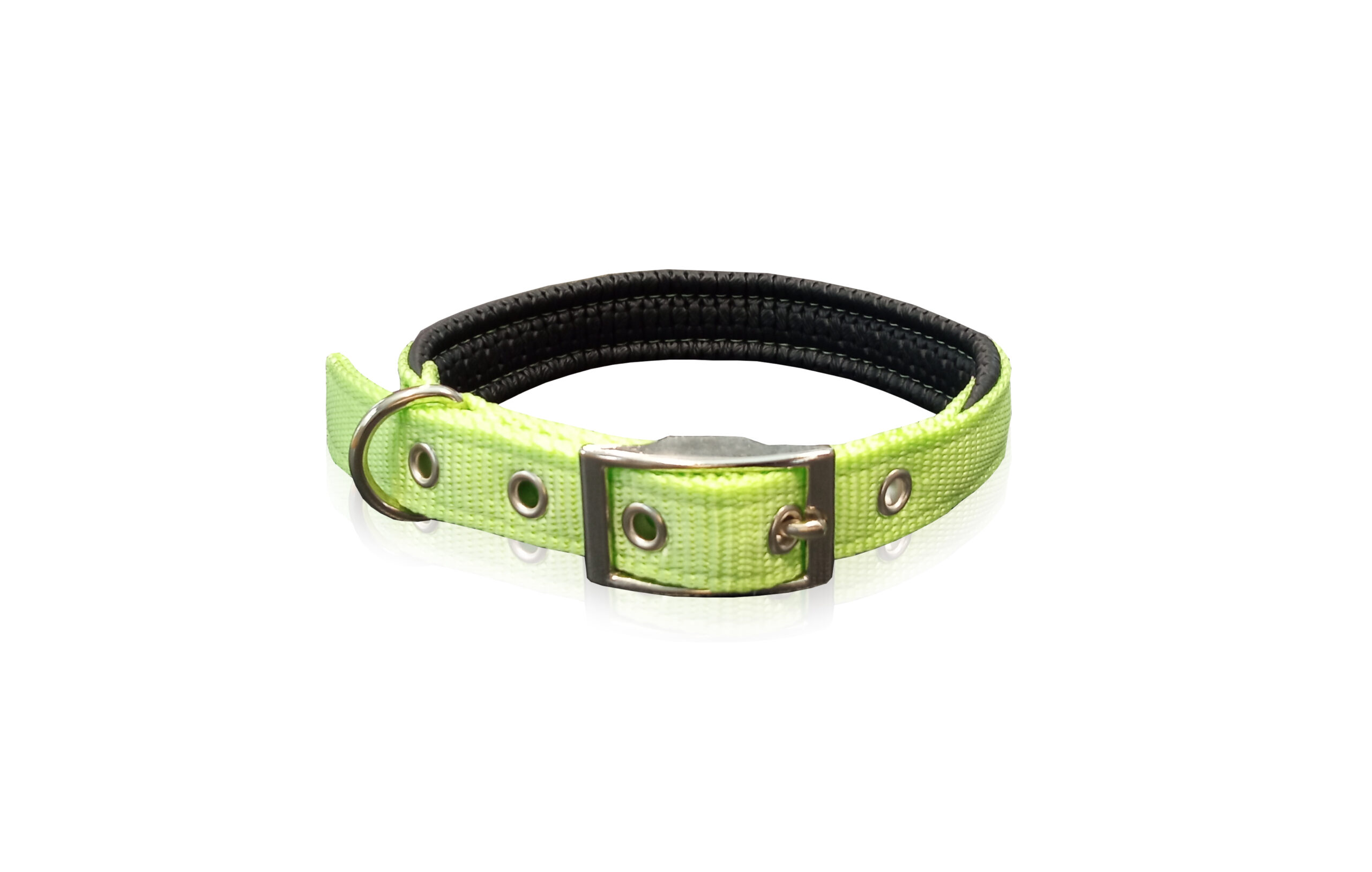 3047 neoprene petinterest light green