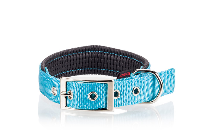 neoprene petinterest light blue