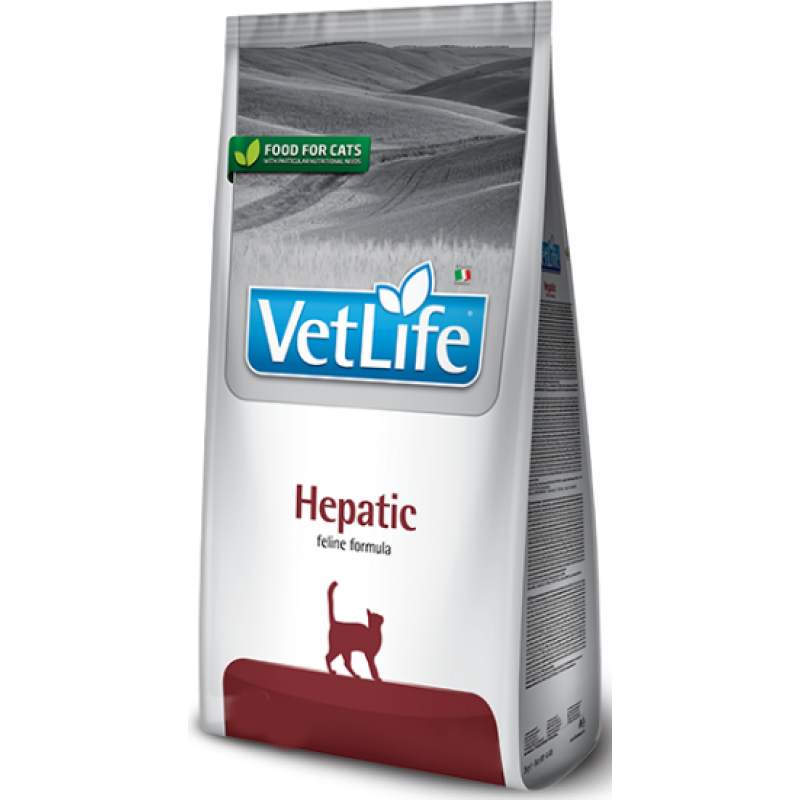 vet-life-feline-hepatic-pet88-800x800h