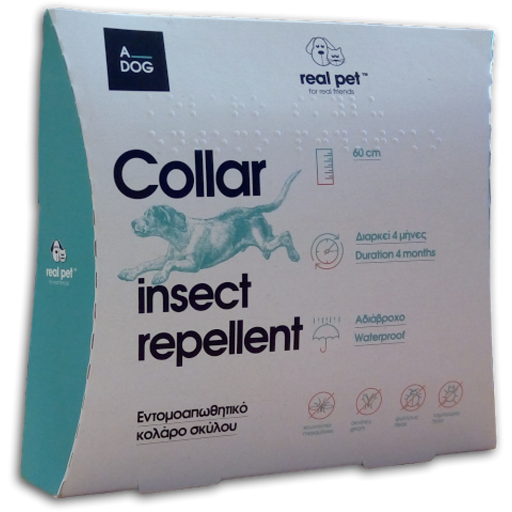 f164c2ea-0b66-4aae-aa84-03a7d3ca8ad5-1000x1000h